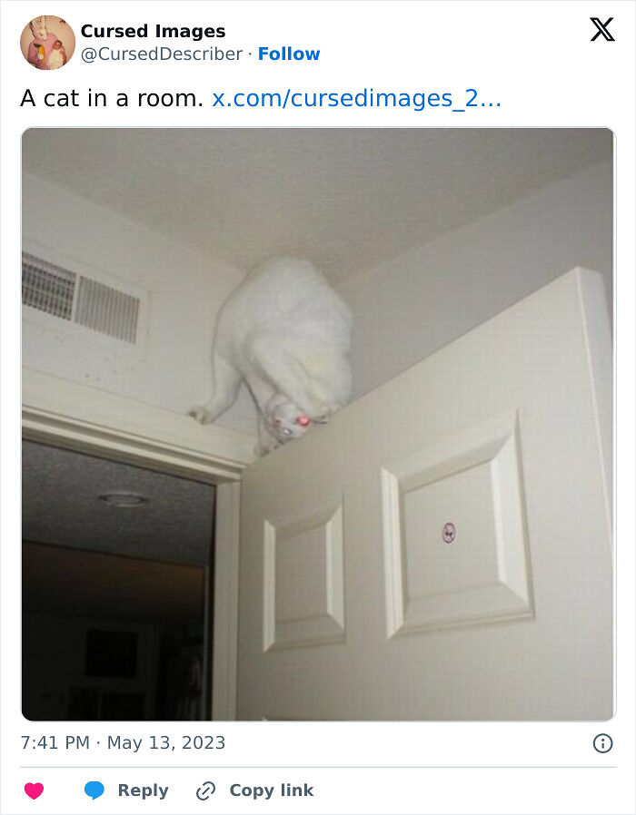 100 Disturbing Pictures So Wrong They Have To Be Cursed