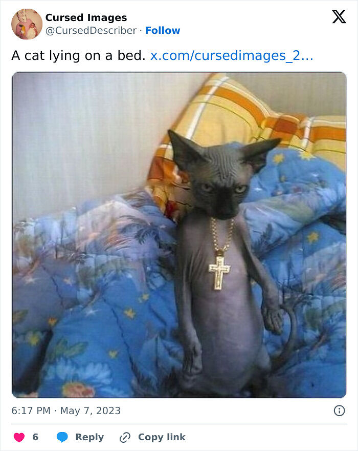 100 Disturbing Pictures So Wrong They Have To Be Cursed
