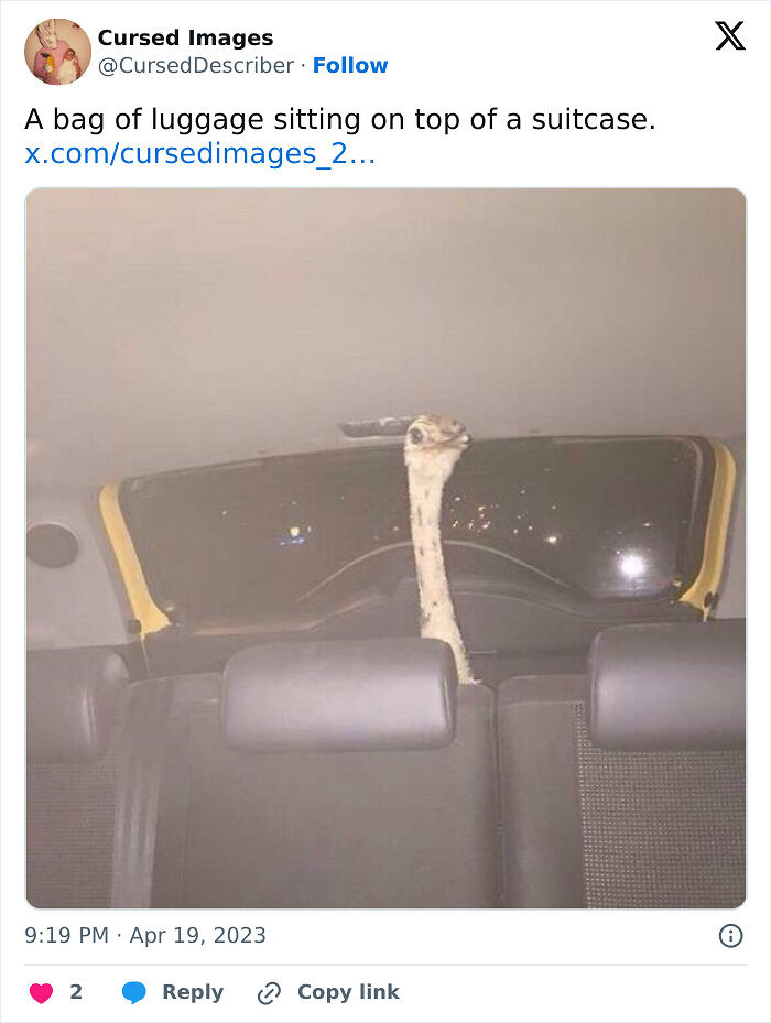 100 Disturbing Pictures So Wrong They Have To Be Cursed