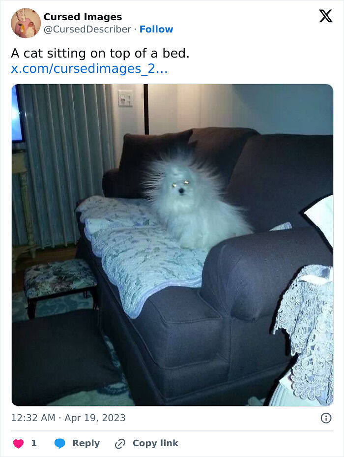 100 Disturbing Pictures So Wrong They Have To Be Cursed