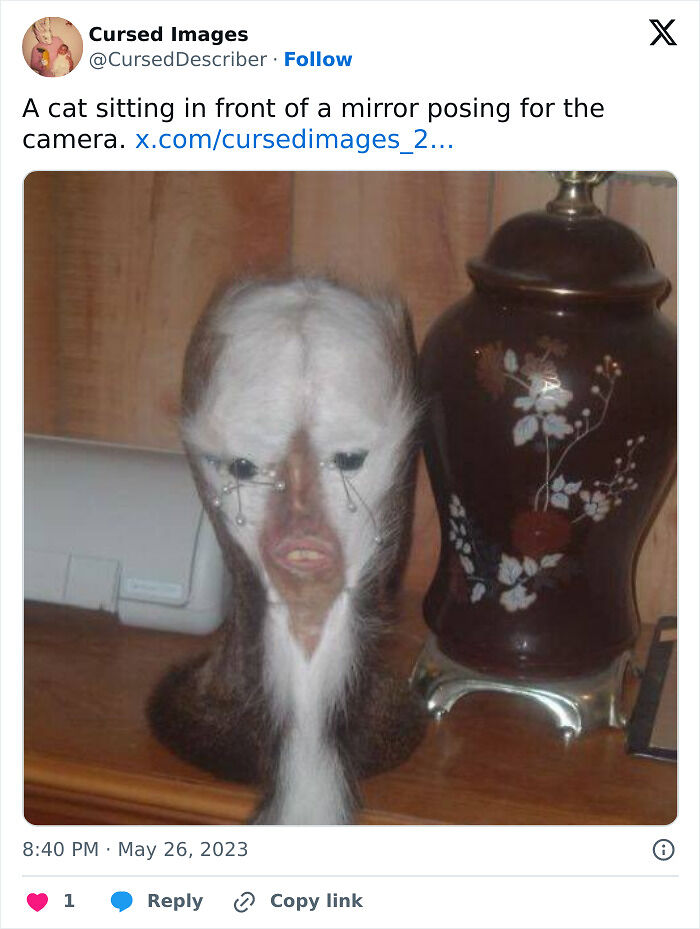 100 Disturbing Pictures So Wrong They Have To Be Cursed