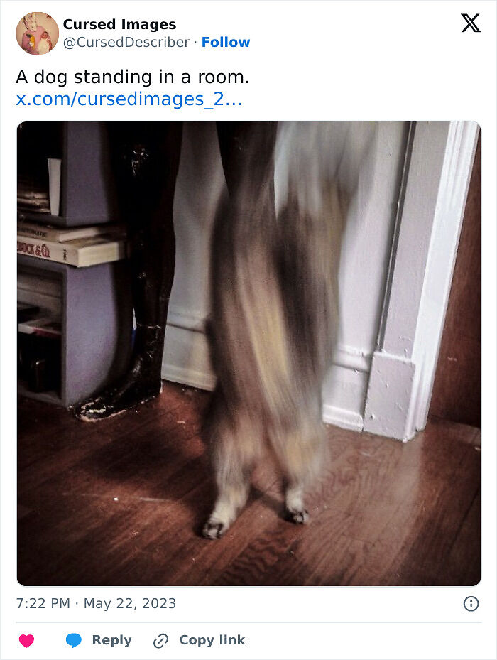 100 Disturbing Pictures So Wrong They Have To Be Cursed