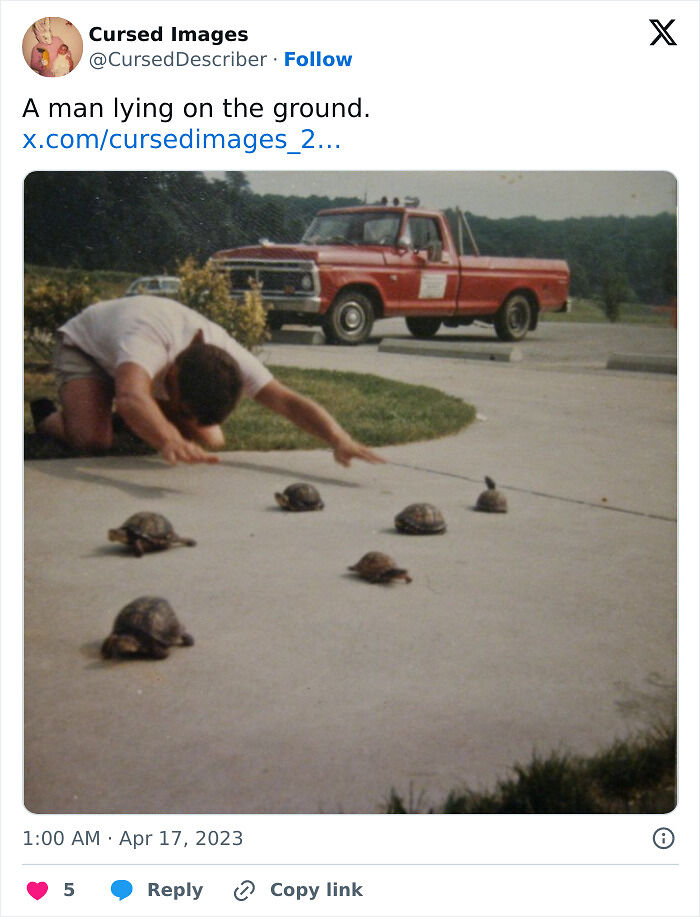 100 Disturbing Pictures So Wrong They Have To Be Cursed