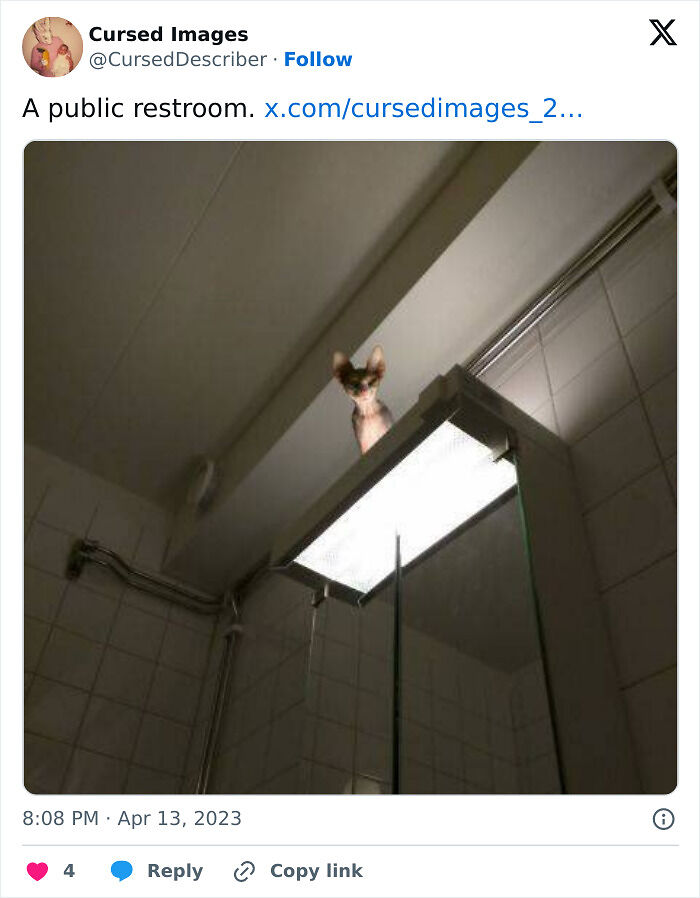 100 Disturbing Pictures So Wrong They Have To Be Cursed