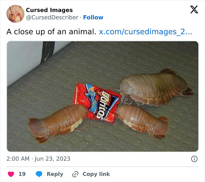 100 Disturbing Pictures So Wrong They Have To Be Cursed