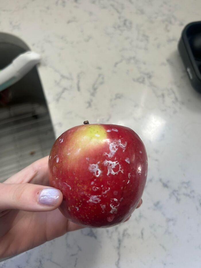 46 Everyday Things That Somehow Managed To Humble Fully Grown Adults