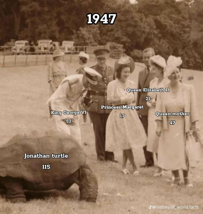 This Online Group Shares 89 Random Comparisons That Might Mess With Your Perception Of Time (New Pics)