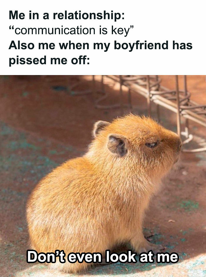 106 Funny Dating Memes That Understand Your Love Life Better Than Your Therapist