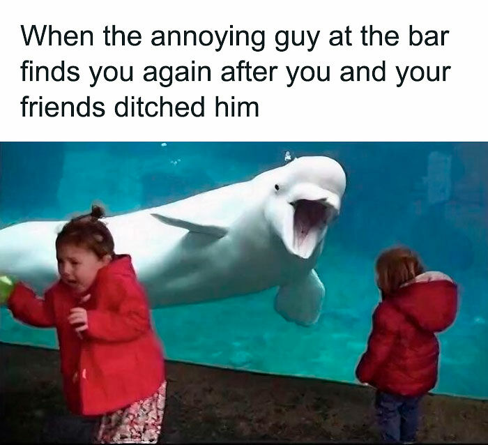 106 Funny Dating Memes That Understand Your Love Life Better Than Your Therapist