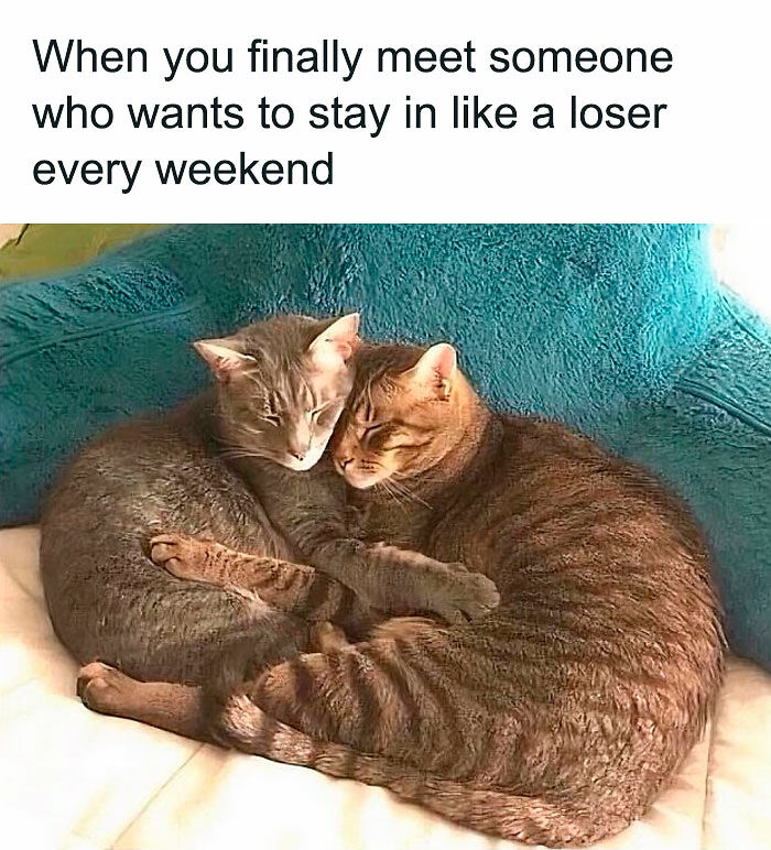106 Funny Dating Memes That Understand Your Love Life Better Than Your Therapist