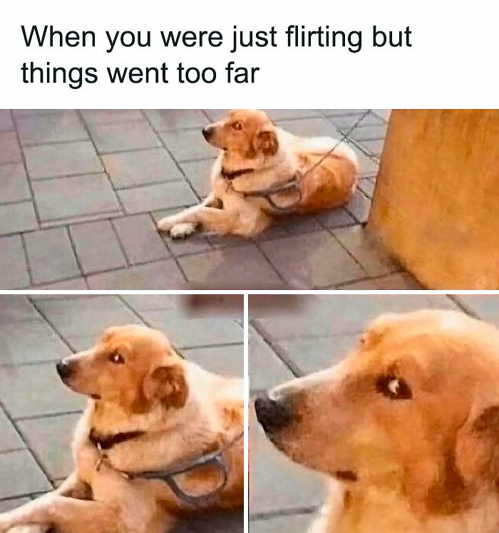 106 Funny Dating Memes That Understand Your Love Life Better Than Your Therapist