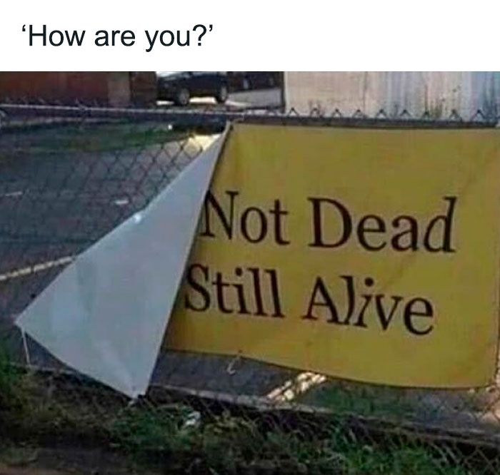 117 Funny And Weirdly Comforting Mental Health Memes To Read Because Therapy Is Expensive