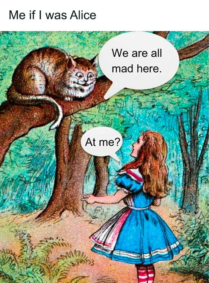 117 Funny And Weirdly Comforting Mental Health Memes To Read Because Therapy Is Expensive