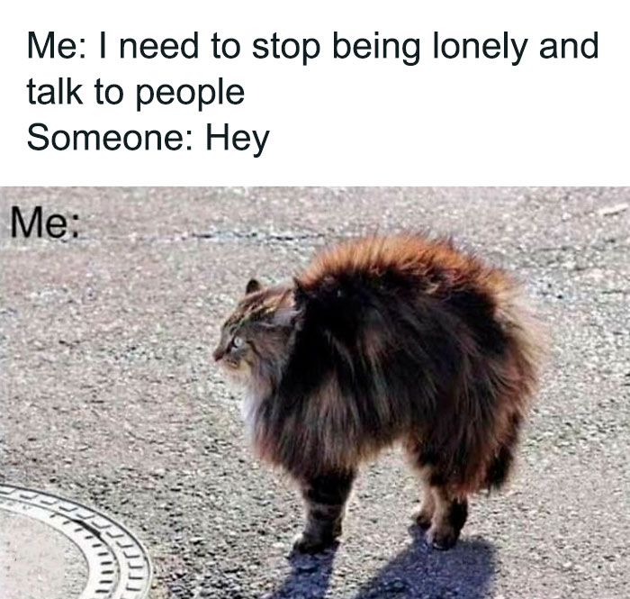 117 Funny And Weirdly Comforting Mental Health Memes To Read Because Therapy Is Expensive