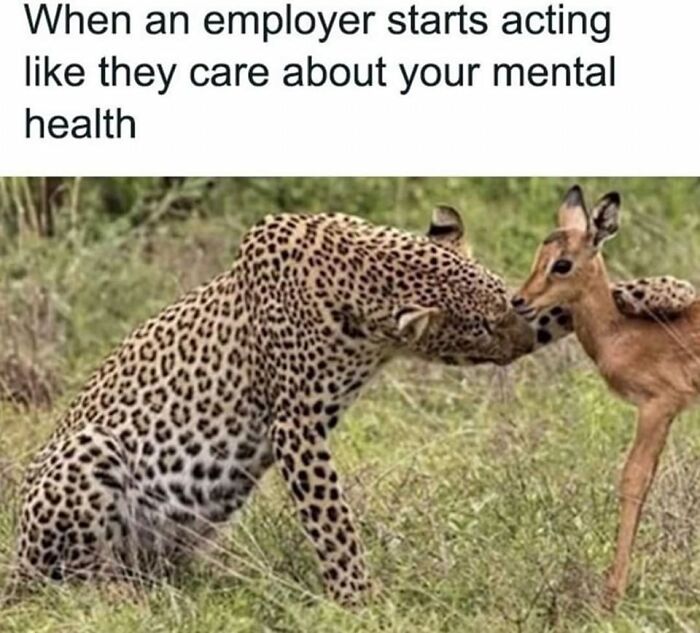 117 Funny And Weirdly Comforting Mental Health Memes To Read Because Therapy Is Expensive