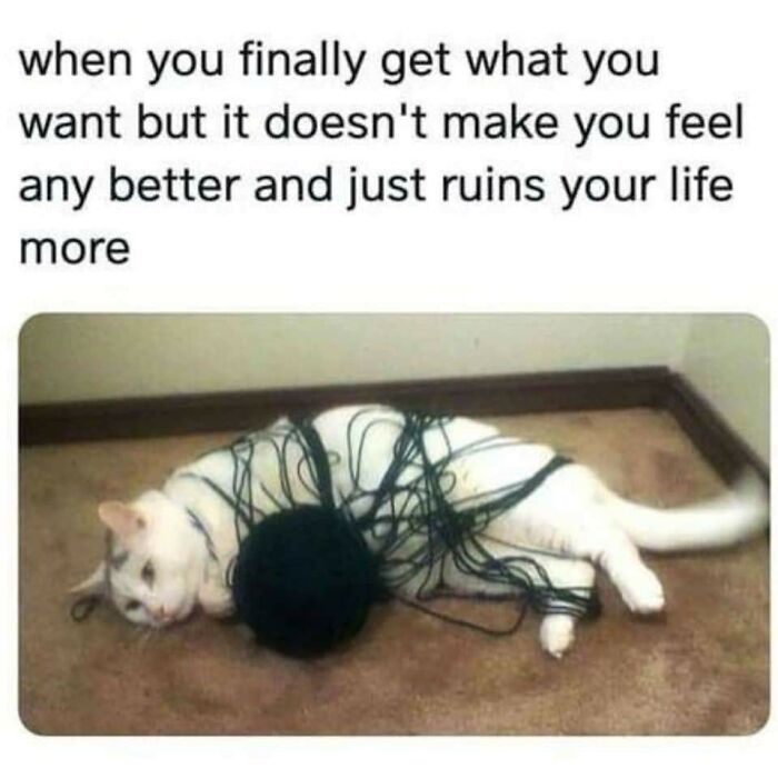 117 Funny And Weirdly Comforting Mental Health Memes To Read Because Therapy Is Expensive