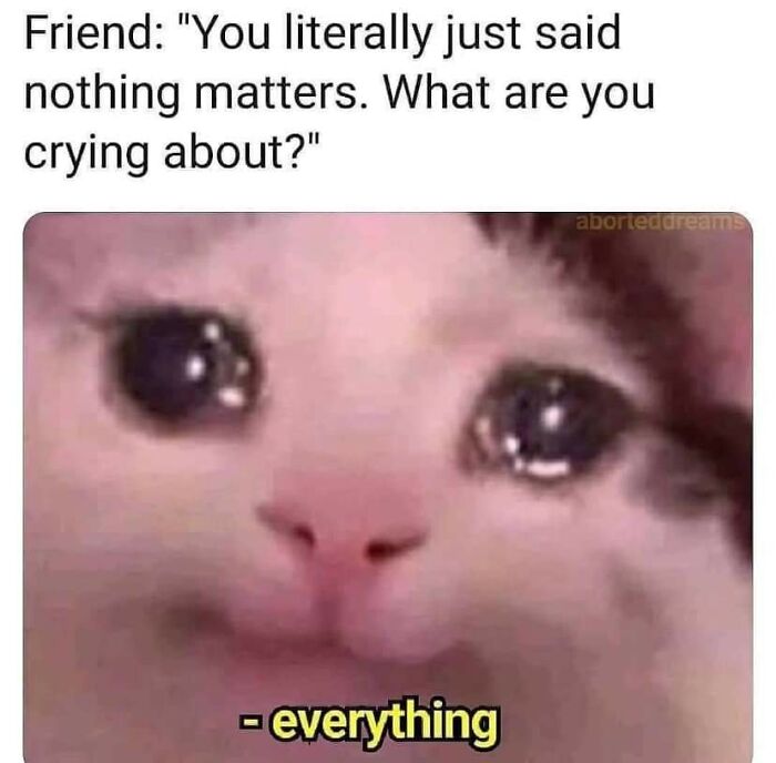 117 Funny And Weirdly Comforting Mental Health Memes To Read Because Therapy Is Expensive