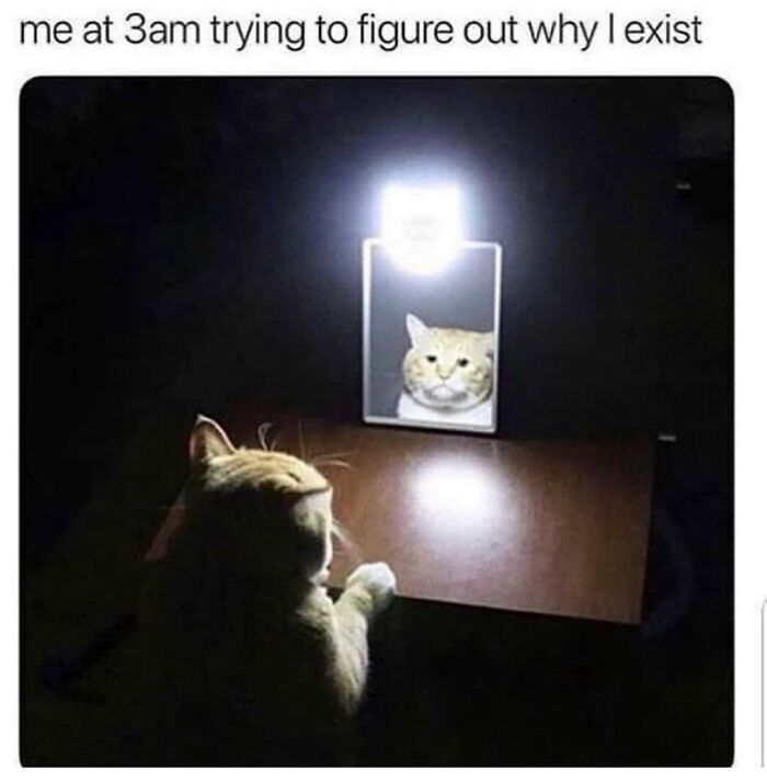 117 Funny And Weirdly Comforting Mental Health Memes To Read Because Therapy Is Expensive