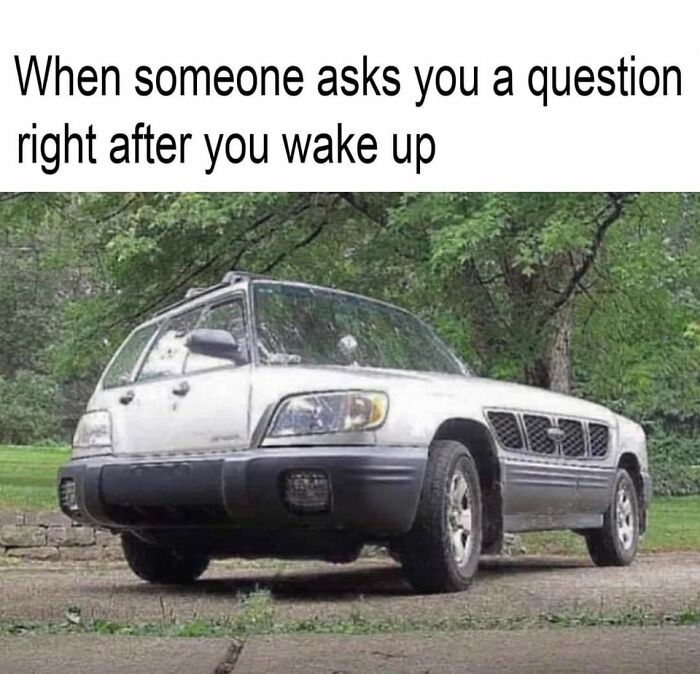 117 Funny And Weirdly Comforting Mental Health Memes To Read Because Therapy Is Expensive