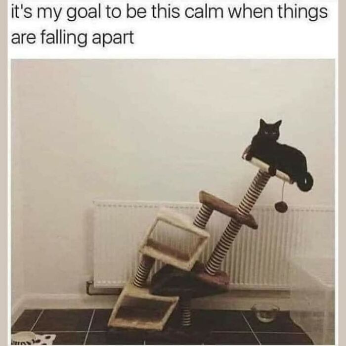 117 Funny And Weirdly Comforting Mental Health Memes To Read Because Therapy Is Expensive
