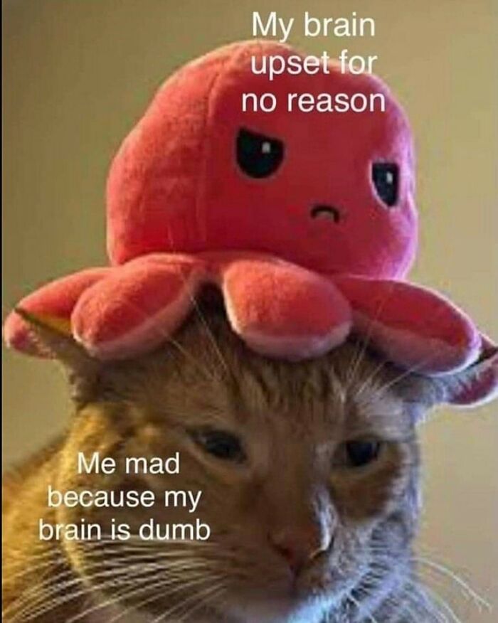 117 Funny And Weirdly Comforting Mental Health Memes To Read Because Therapy Is Expensive