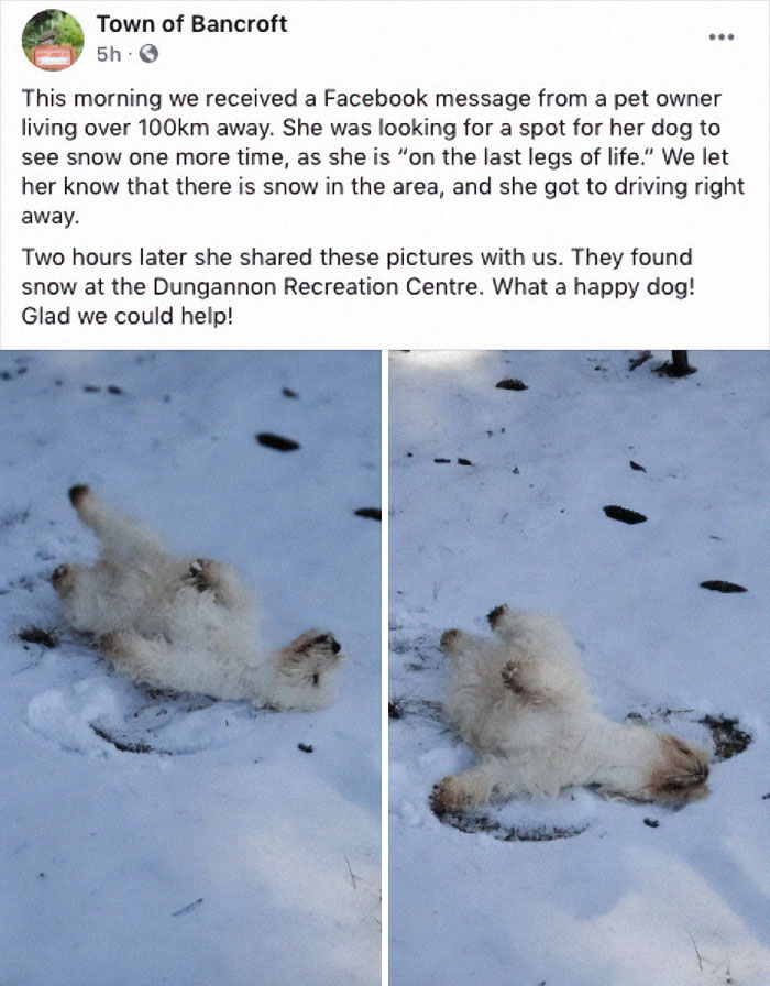 146 Wholesome Posts To Distract You From The Current Horrors Of The World (New Pics)