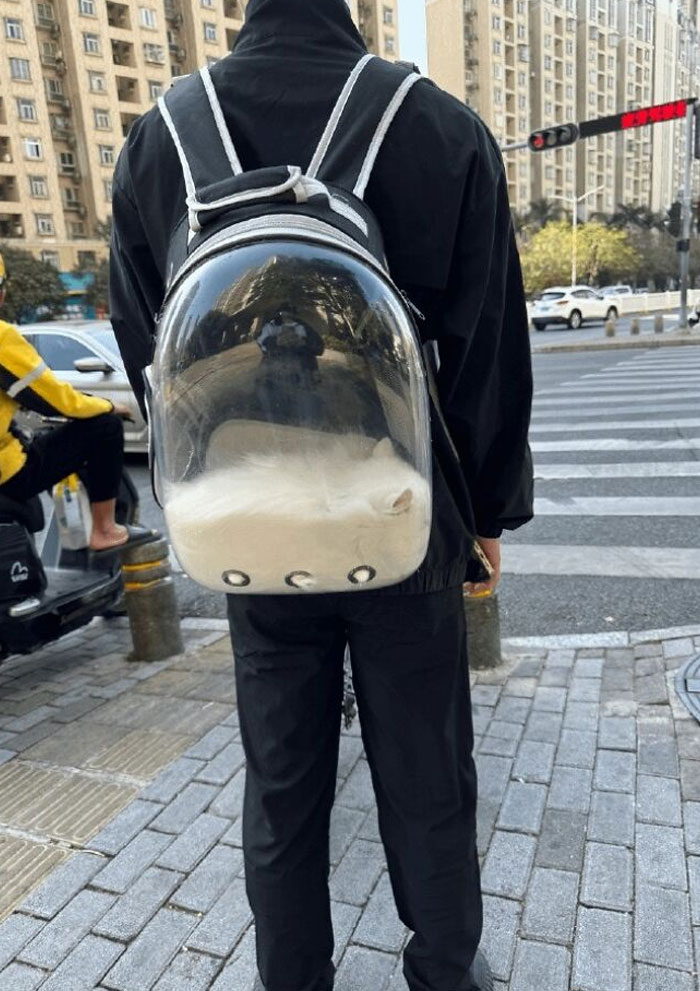 146 Wholesome Posts To Distract You From The Current Horrors Of The World (New Pics)