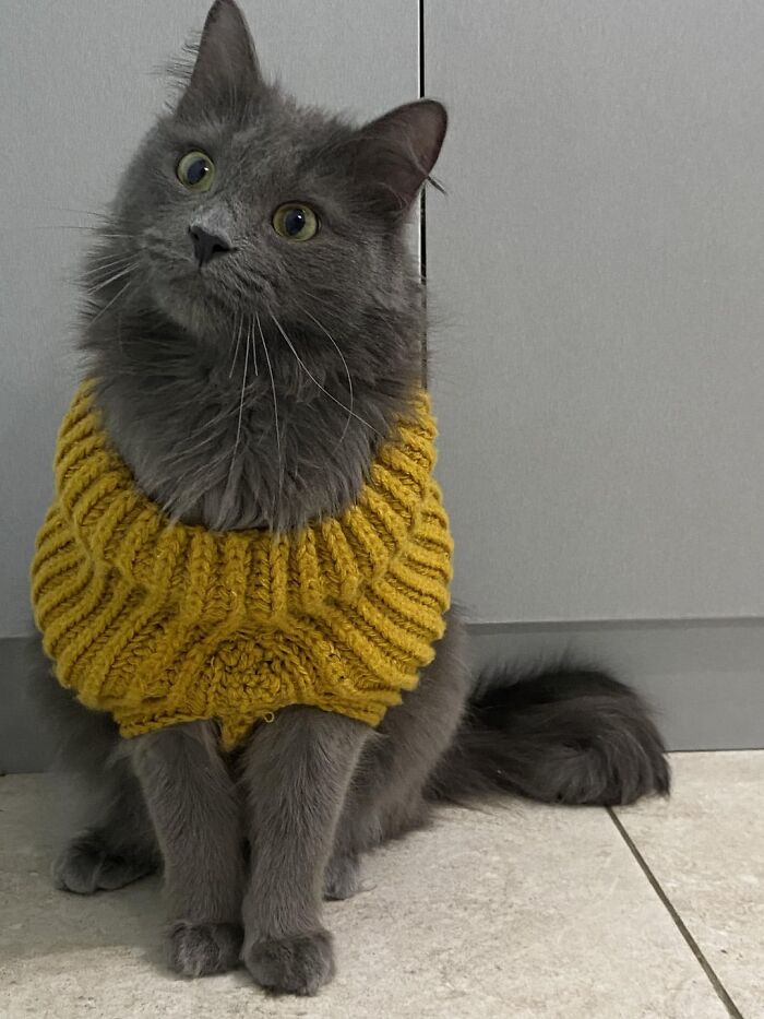 146 Wholesome Posts To Distract You From The Current Horrors Of The World (New Pics)