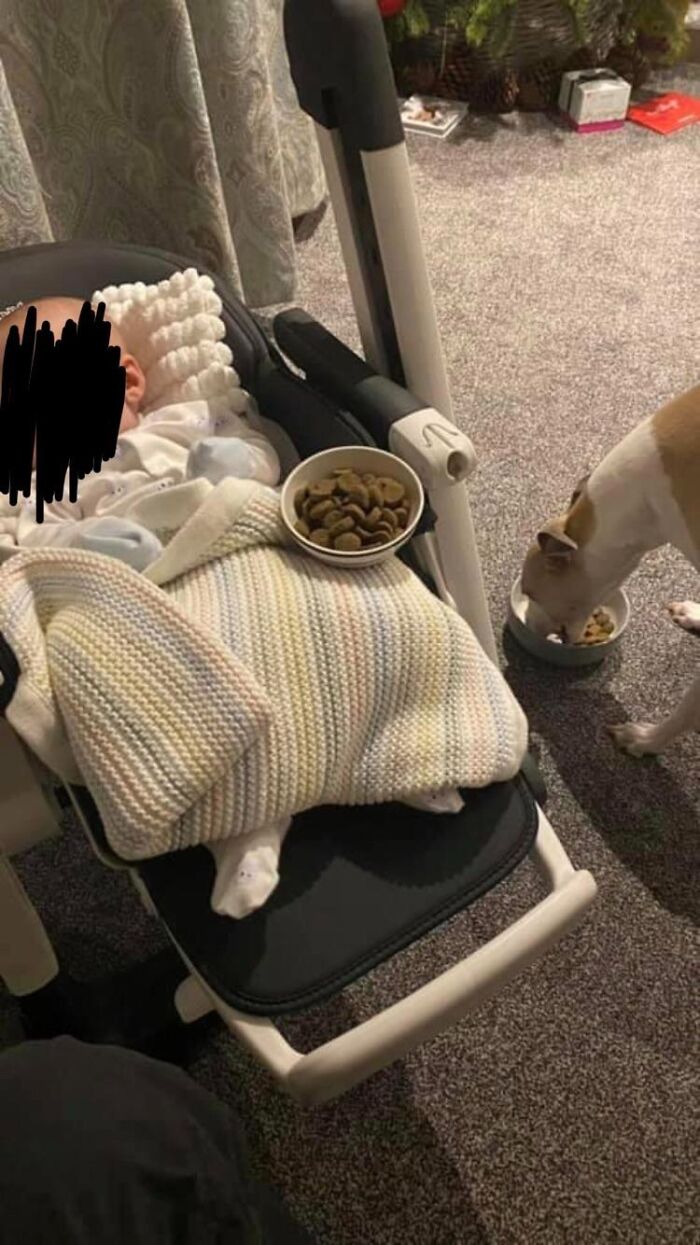 146 Wholesome Posts To Distract You From The Current Horrors Of The World (New Pics)