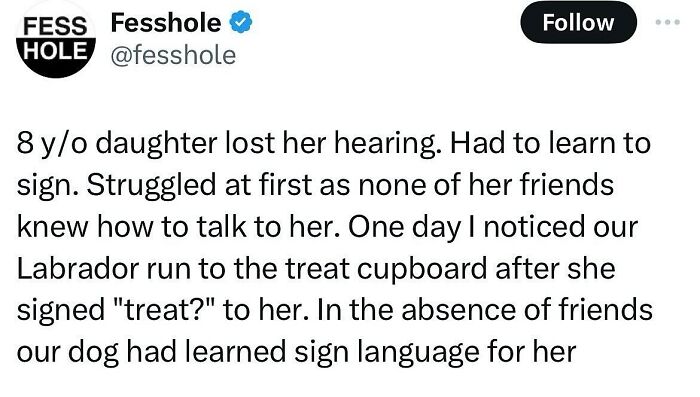 146 Wholesome Posts To Distract You From The Current Horrors Of The World (New Pics)