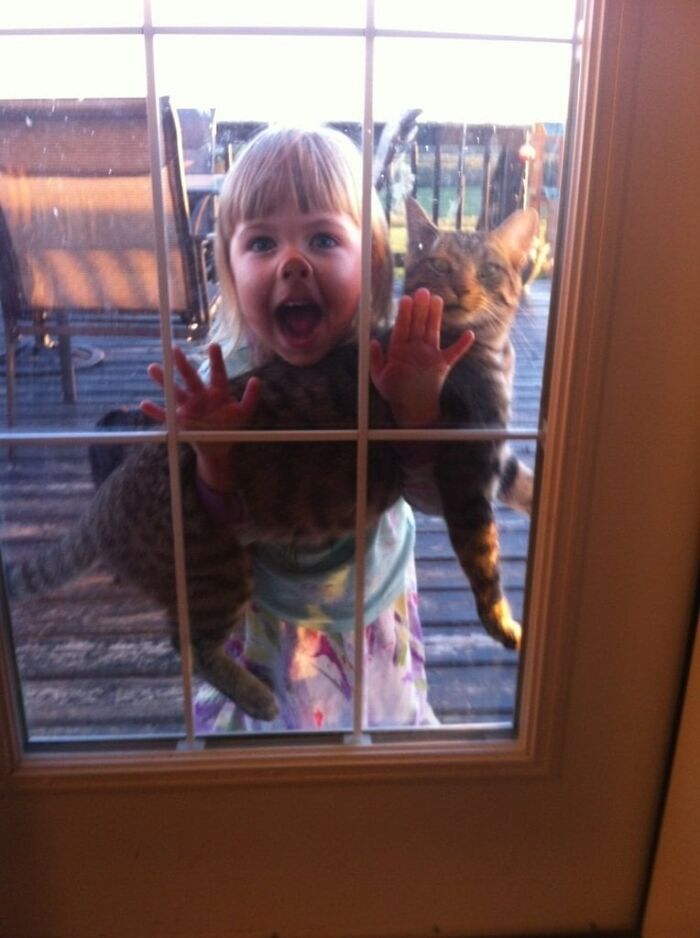 146 Wholesome Posts To Distract You From The Current Horrors Of The World (New Pics)