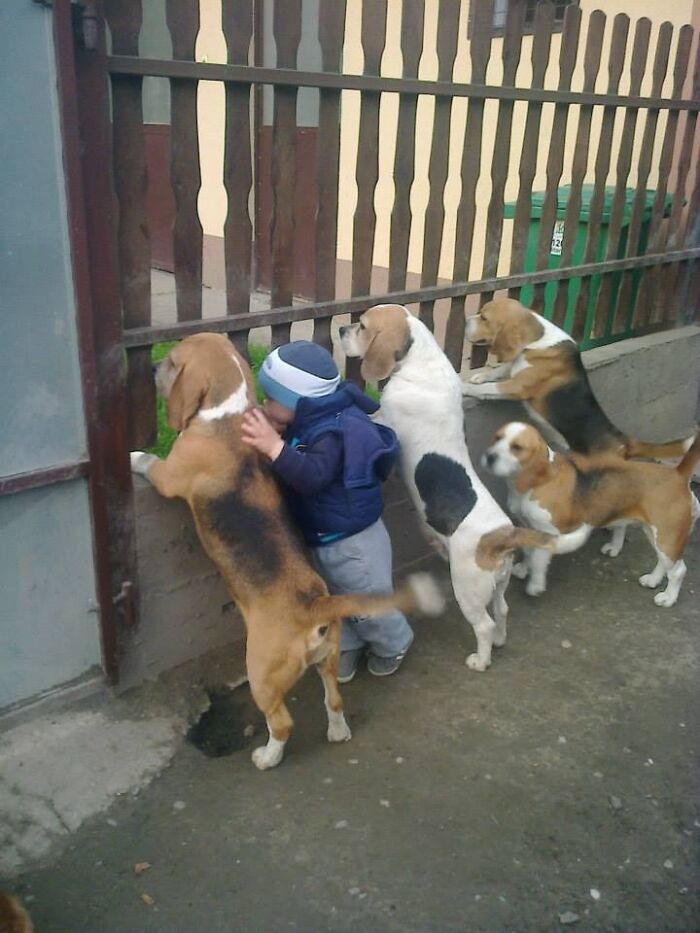146 Wholesome Posts To Distract You From The Current Horrors Of The World (New Pics)