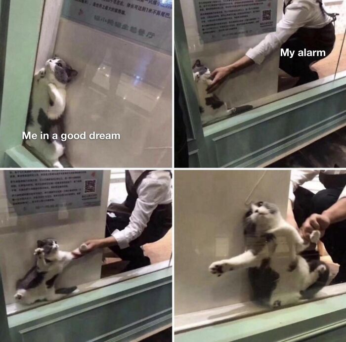 146 Wholesome Posts To Distract You From The Current Horrors Of The World (New Pics)