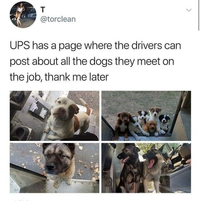 146 Wholesome Posts To Distract You From The Current Horrors Of The World (New Pics)