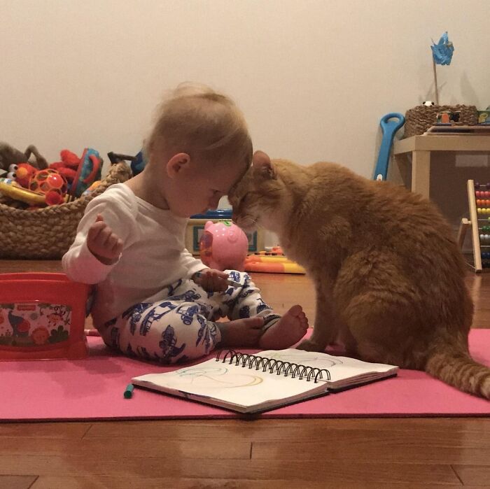 146 Wholesome Posts To Distract You From The Current Horrors Of The World (New Pics)