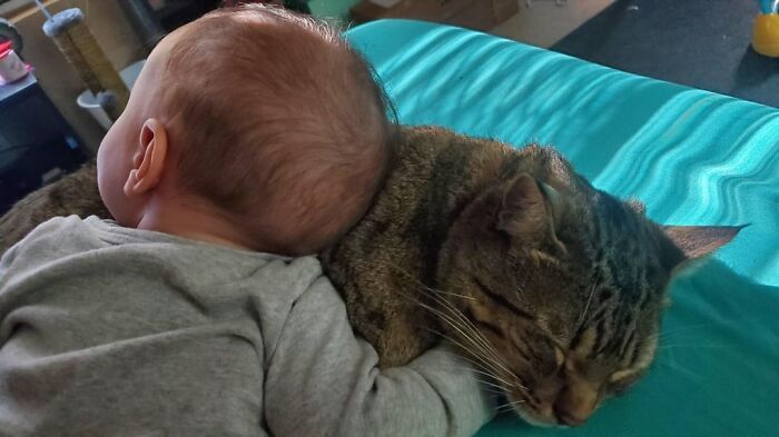 146 Wholesome Posts To Distract You From The Current Horrors Of The World (New Pics)