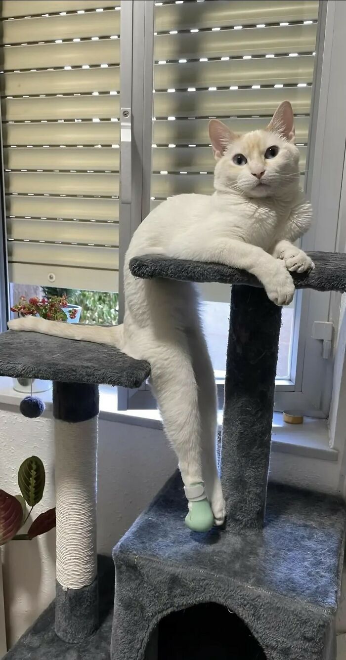 146 Wholesome Posts To Distract You From The Current Horrors Of The World (New Pics)