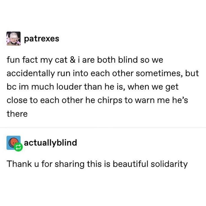 146 Wholesome Posts To Distract You From The Current Horrors Of The World (New Pics)