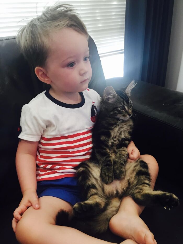 146 Wholesome Posts To Distract You From The Current Horrors Of The World (New Pics)
