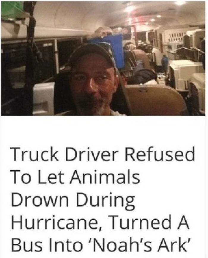 146 Wholesome Posts To Distract You From The Current Horrors Of The World (New Pics)