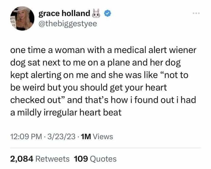 146 Wholesome Posts To Distract You From The Current Horrors Of The World (New Pics)