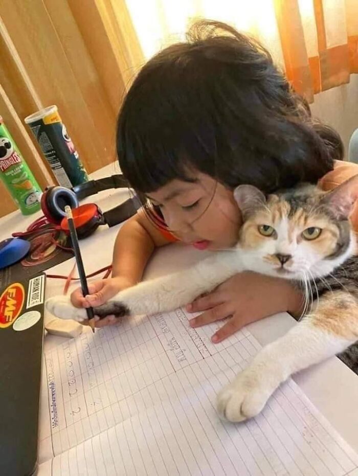 146 Wholesome Posts To Distract You From The Current Horrors Of The World (New Pics)