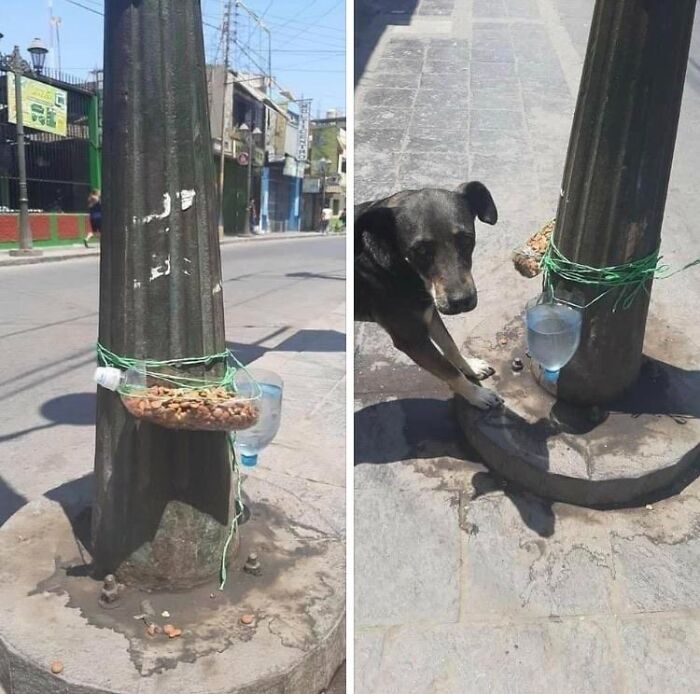 146 Wholesome Posts To Distract You From The Current Horrors Of The World (New Pics)
