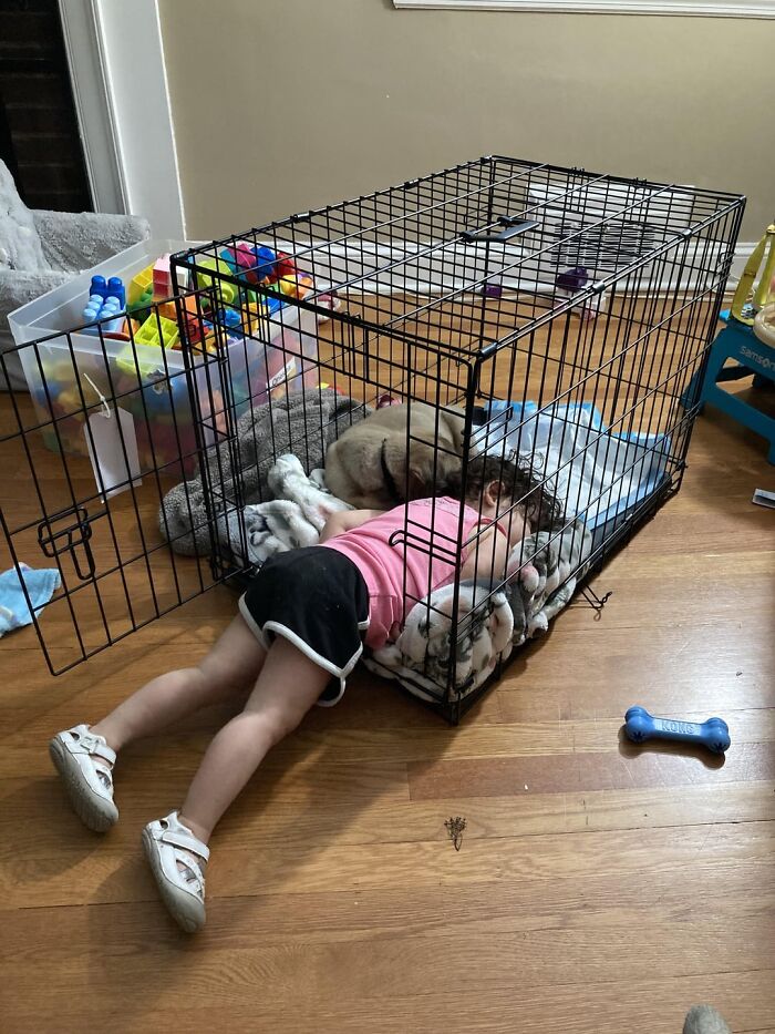 146 Wholesome Posts To Distract You From The Current Horrors Of The World (New Pics)