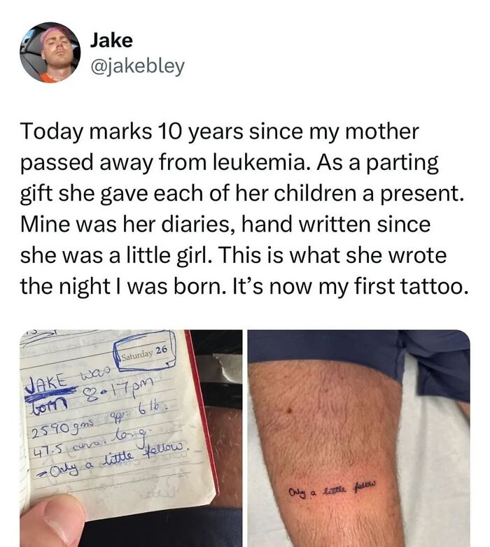 146 Wholesome Posts To Distract You From The Current Horrors Of The World (New Pics)