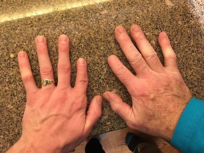 146 Wholesome Posts To Distract You From The Current Horrors Of The World (New Pics)
