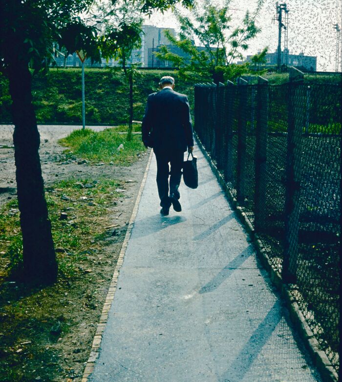 &#8220;He Landed On His Dog&#8221;: 66 Ways People Died That Are Almost Hard To Believe