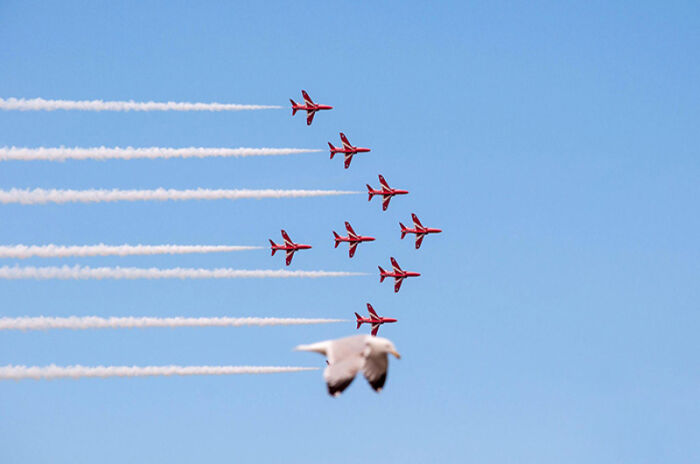 90 Perfectly Timed Photos That Are Better Than Any Photoshop