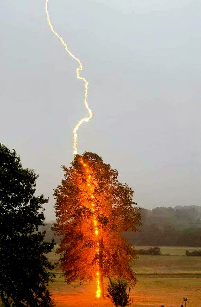 90 Perfectly Timed Photos That Are Better Than Any Photoshop