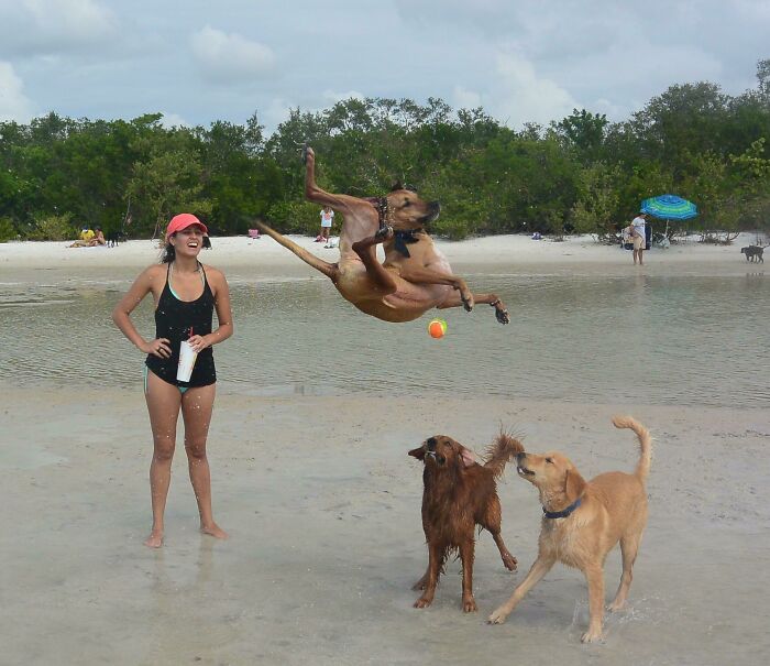 90 Perfectly Timed Photos That Are Better Than Any Photoshop
